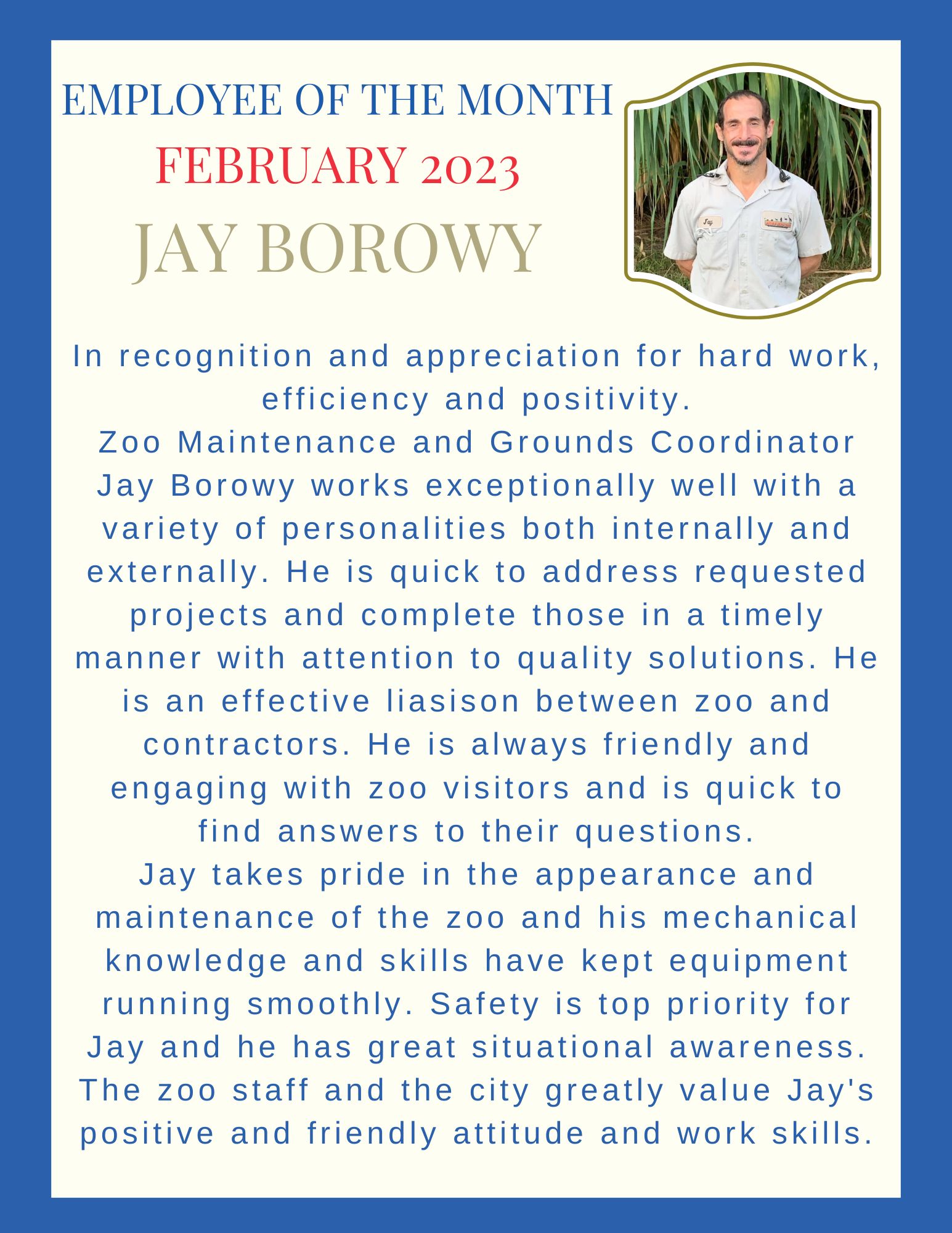 for website (11) borowy